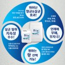 비바모텔 이미지