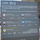 소이작도 해적숲길 트래킹 후기 (인천시민 할인받는 법, 벌안해변)