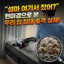 코웨이골든 | "침대 속 벌레와 사셨나요?" 양주 매트리스 청소 전후 충격 비교