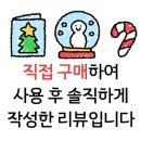 바토플루이르 송해 이미지
