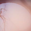 태수농장 이미지