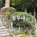 광릉수목원 | 포천 광릉수목원 근처 이색카페 [들무새] 직접 다녀온 후기 :)