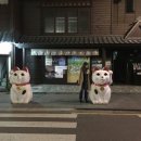 카페모모코