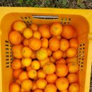 별이네농장 이미지