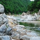 단위농협사거리(농협앞) 이미지