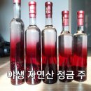정금주 이미지