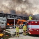 삼척양계장 이미지