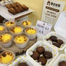빵굿빵굿베이커리 | 대전 빵지순례 괴정동 빵맛집 [빵순상점] 화이트롤 + 에그타르트 추천!