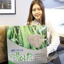 네이처그라스