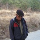 철남 농장 Daum카페