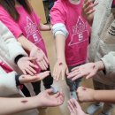 이리마한초등학교 이미지