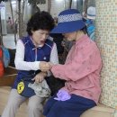 김민종농장 | 한밤의 사진편지 제2280호 (제397회 주말걷기 후기-윤정자/'15/8/18/화)