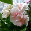 버거웍스 이미지