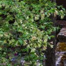 청계산 등산로 이미지