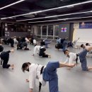 국가대표 효 태권도 네이버블로그