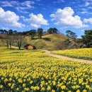 풍경목장 이미지