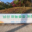제972차 11월14일 .남산하늘 숲길걷기 이미지