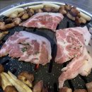 불막열삼 이미지