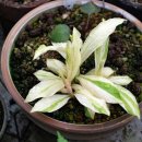 함께 읽고 싶은 책 이미지