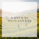 튼튼한하루