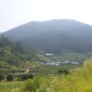 2nd촌집