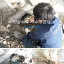 둥근섬로 이미지