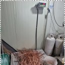 계량증명업 믿고 맡기는 철거와 고철 매입 서비스 후기
