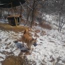 우리농장1 이미지