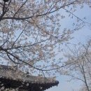 늘도민박(펜션) 이미지