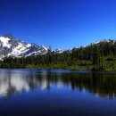 푸른나무 이미지