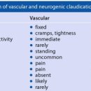 claudication neurogenic vs vascular 이미지