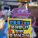 기장 대변항 오징어 구이 안동집 2호점 현지인이 추천하는 대변항 오징어구이 맛집
