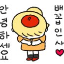 담터 금학캠핑장 이미지