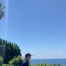 송이마당1198 이미지