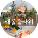 캐롤플라워 이미지