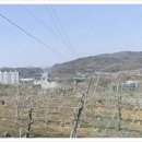 사과나무부동산중개사무소 이미지