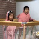 평촌대로396번길 이미지