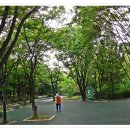아시아공원 이미지
