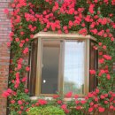 대둔산장 이미지