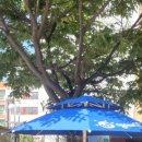 (주)한울초 이미지