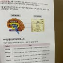 에이치알심리상담센터 | TCI 검사 과정과 결과, 불안 심리 치료상담을 위한 해운대 브레인통합 심리상담센터 방문 후기