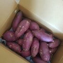 로움상사 이미지