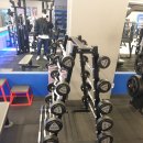 필 피트니스 이미지