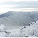 2018년 1월 14일 태백산 눈꽃산행 이미지