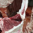 대산축산농장 이미지