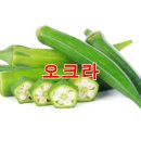 오크라 - 서귀포시 번영로 3189 | 오크라