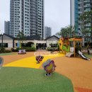 비데랜드(주) 이미지