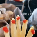 커들리독 이미지