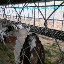 무림농장 이미지