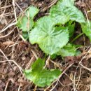 동천농장 이미지